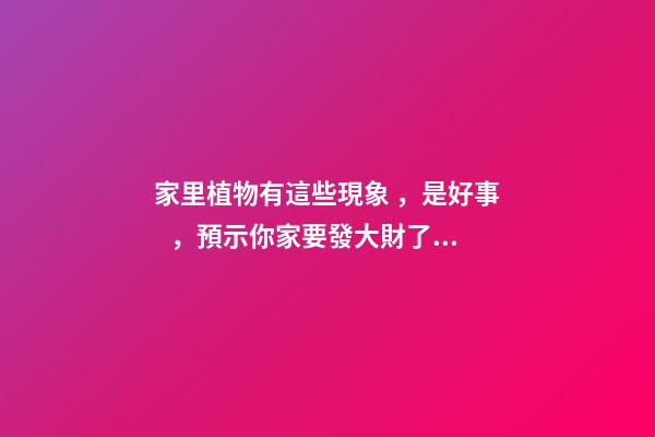 家里植物有這些現象，是好事，預示你家要發大財了！